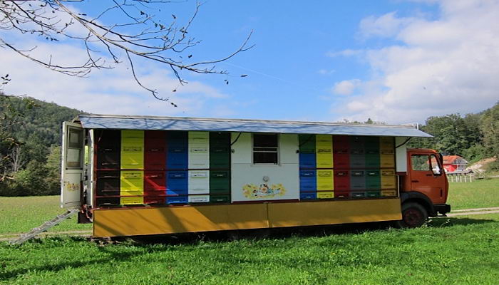 Read more about the article Pokretni Pčelinjaci